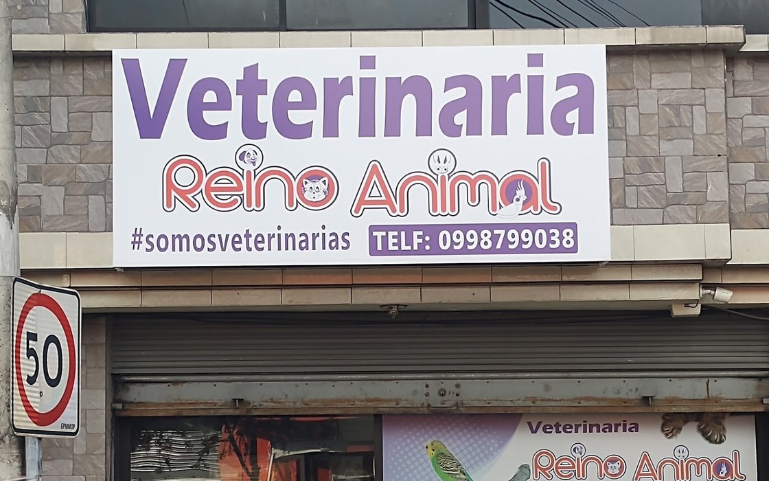 Veterinaria Reino Animal: opiniones, fotos, número de teléfono y dirección  de Centros médicos (Quito) 