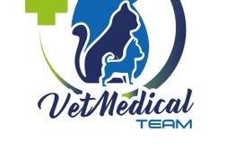 Vet Medical Team